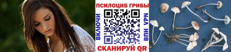 Псилоцибиновые грибы мицелий  Белокуриха 